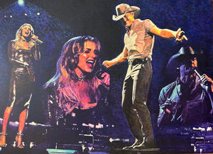Tim McGraw and Faith Hill Concert Painting